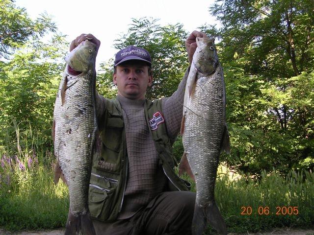 peto 2005 hron